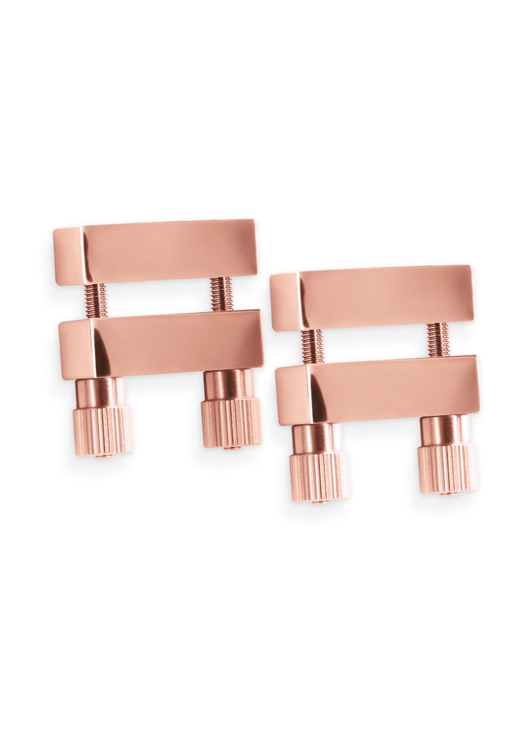 Nipple Clamps V1